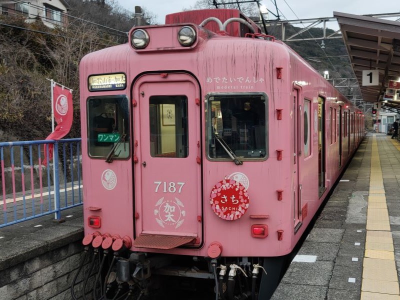 南海電鐵鯛魚列車
