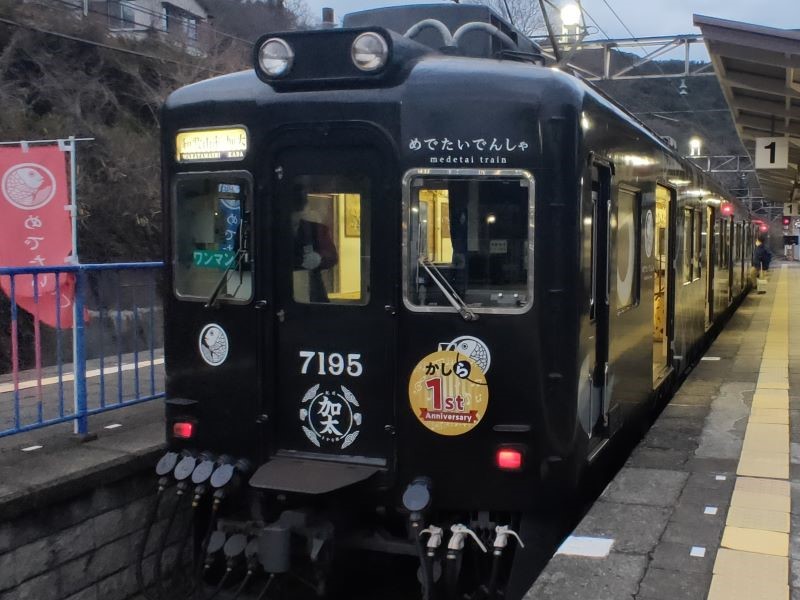 南海電鐵鯛魚列車